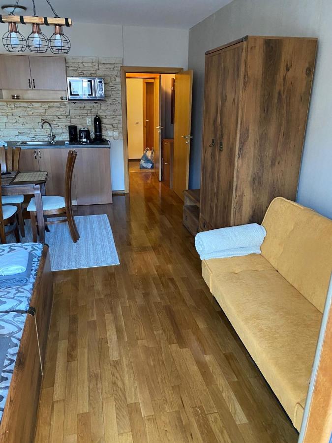 Bansko Spa Studio At Predela1 Экстерьер фото